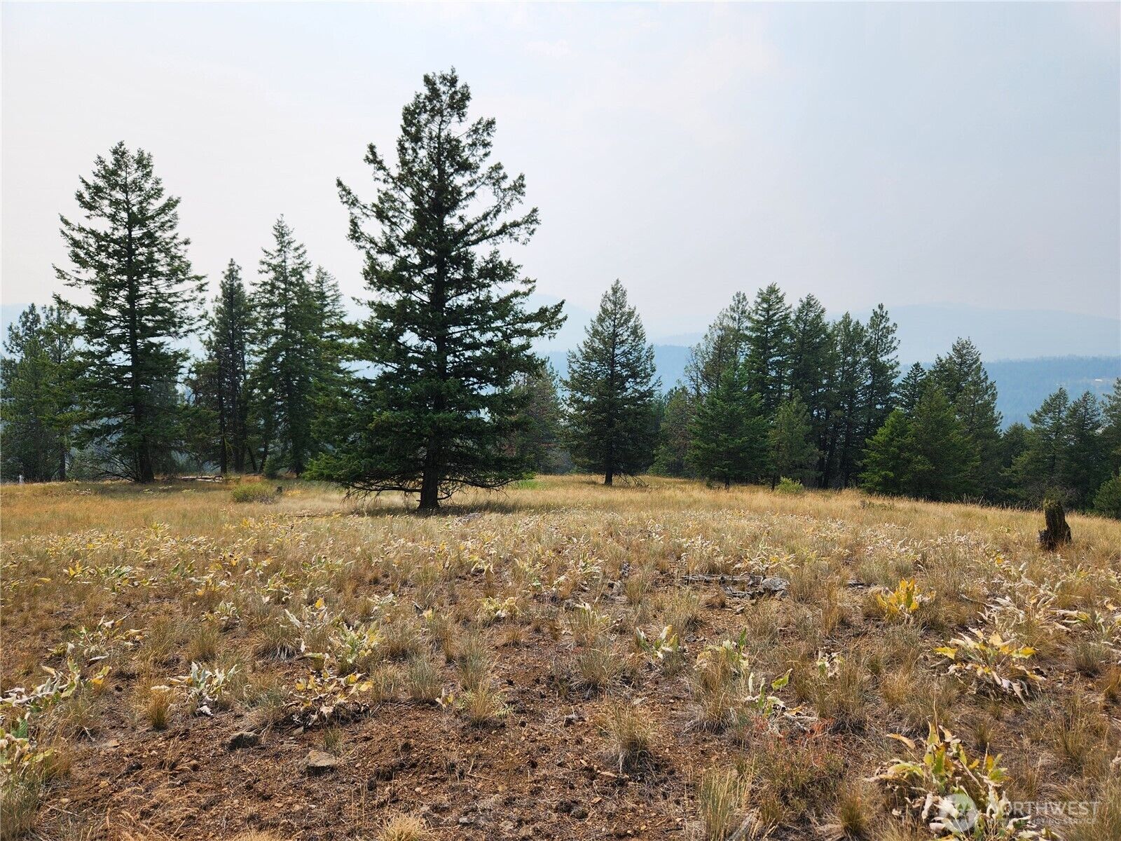 Property Photo: 0 Tbd Rose Valley Road WA 99166