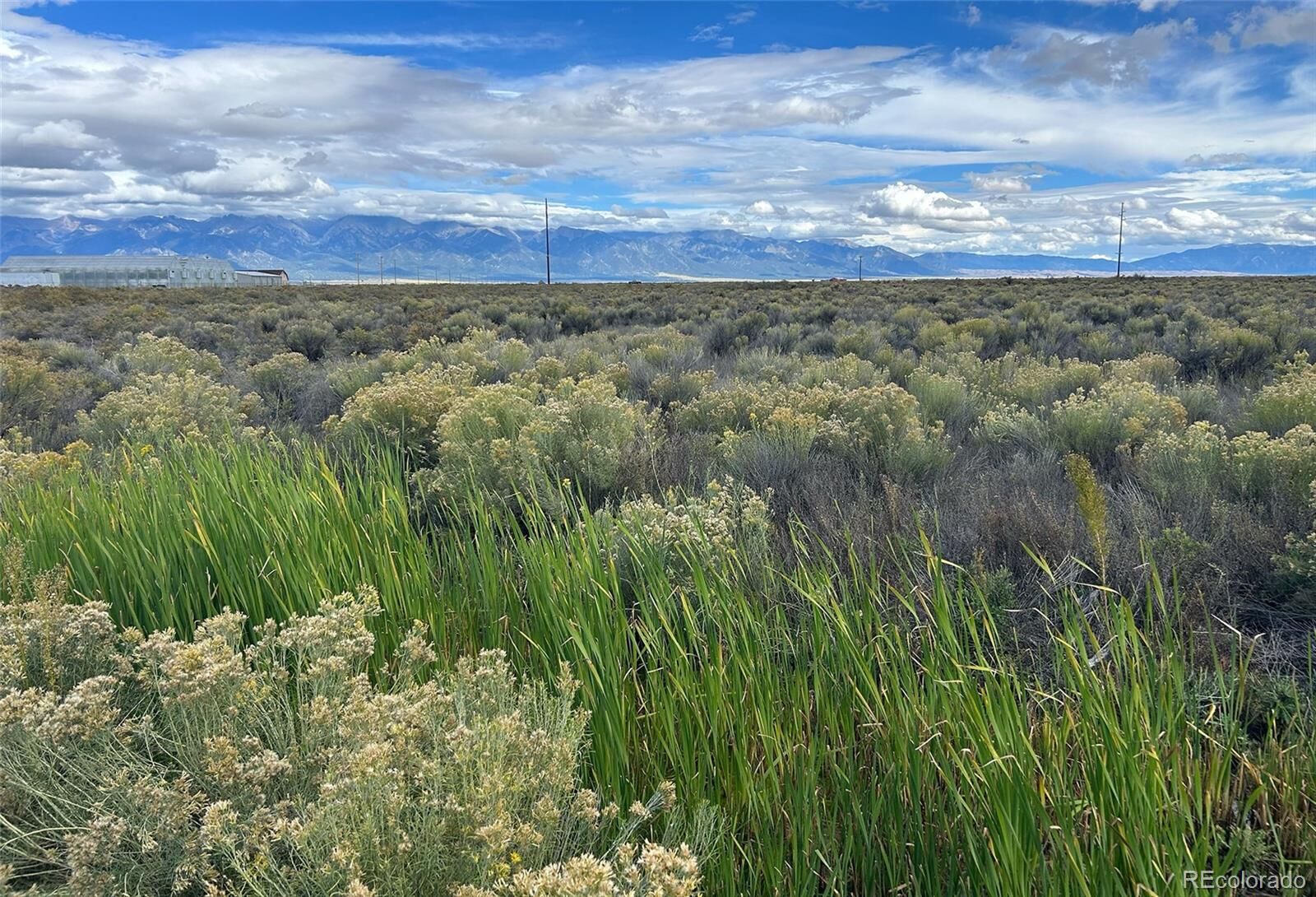 Property Photo: None Highway 17 CO 81143