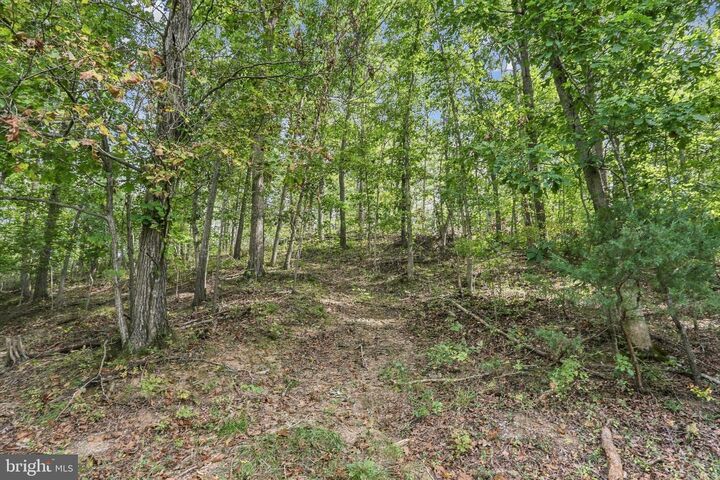 Property Photo:  Lot 147C Tea Berry Road  VA 22644 