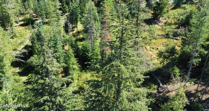 Property Photo:  111 Trail Blazer Ct  ID 83850 
