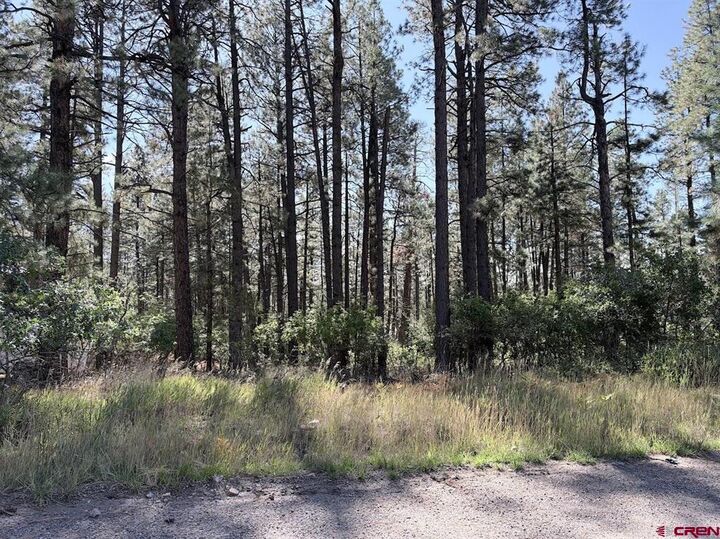 Property Photo: 332 Lake View Drive CO 81122