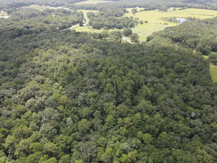 Property Photo: 27+/- Ac E County Highway 181 FL 32464