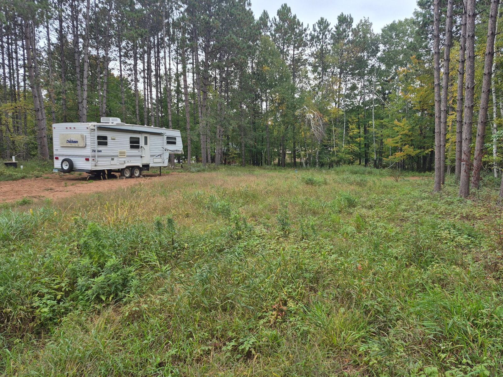 Property Photo: 87190 Woodstock Road MN 55783