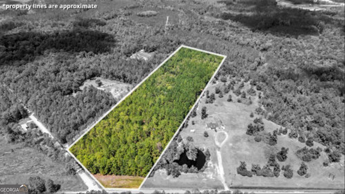 Property Photo: 15.5 Ac Elim Church Road NE GA 31316