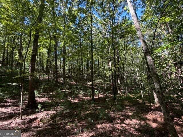Property Photo:  305 Seneca Drive  GA 30540 