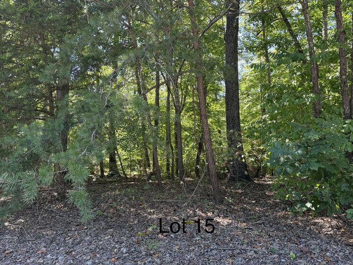 Property Photo:  0 E Taxiway Drive Lot 17  KY 42602 