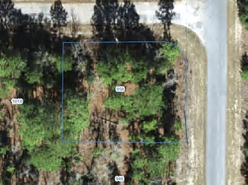 Property Photo:  950 W Cary Drive  FL 34434 