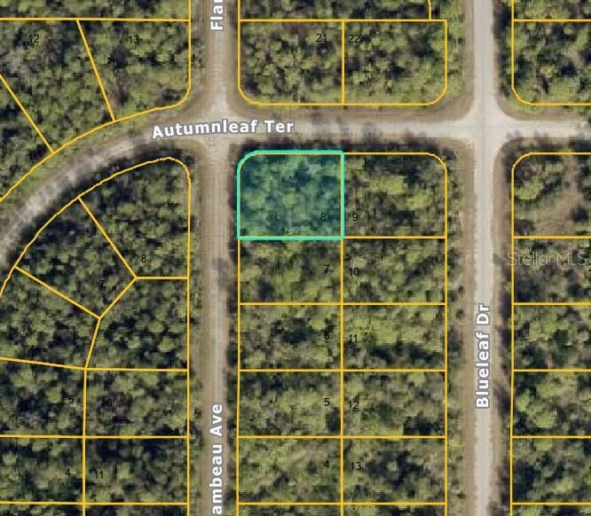 Property Photo:  Autumnleaf Terrace  FL 34288 