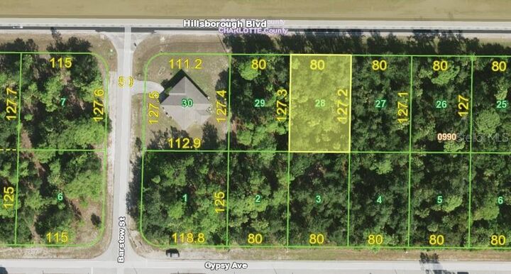 Property Photo:  18351 Hillsborough Boulevard  FL 33954 