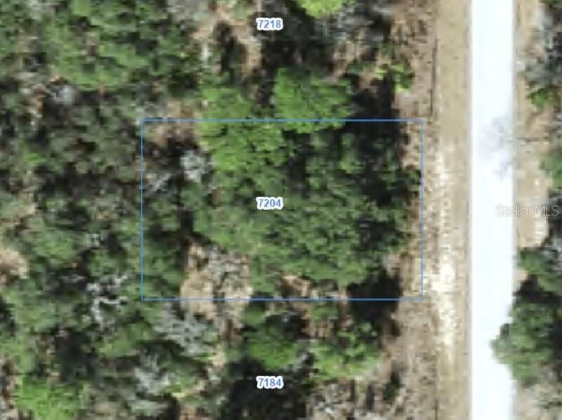Property Photo: 7204 N Ripley Drive FL 34433
