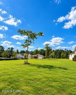 Property Photo: 12475 Alphabet Road MS 39503