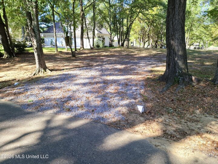 Property Photo:  123 Shady Lane  MS 39110 