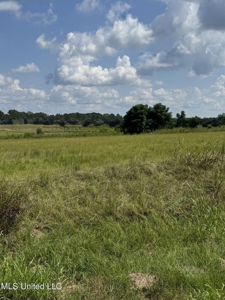 Property Photo: C2 Ms-16 MS 39039