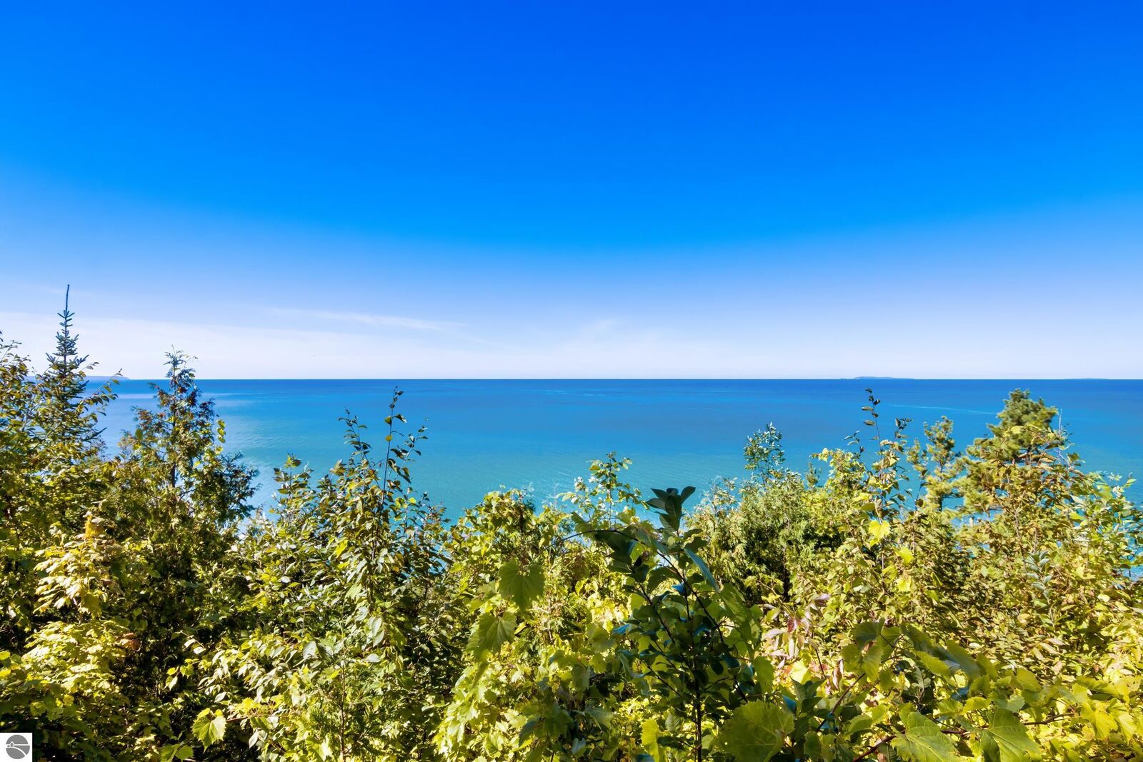 Property Photo: 12281 N Island View Drive MI 49670