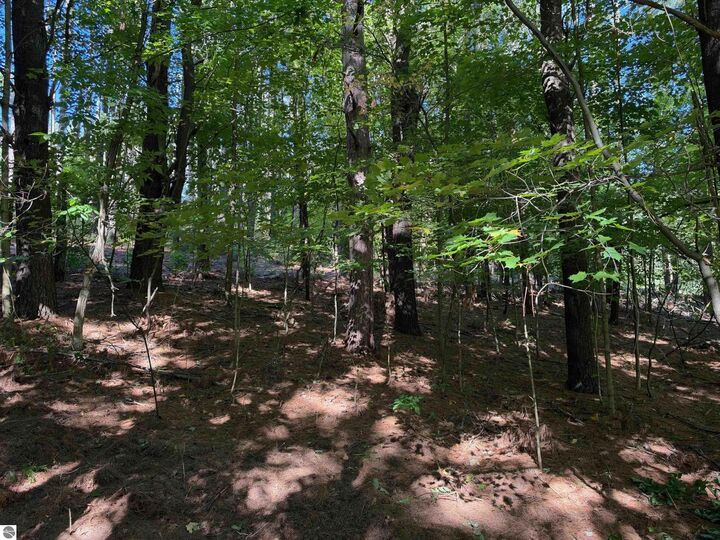 Property Photo: 0 Raymond Road MI 49688