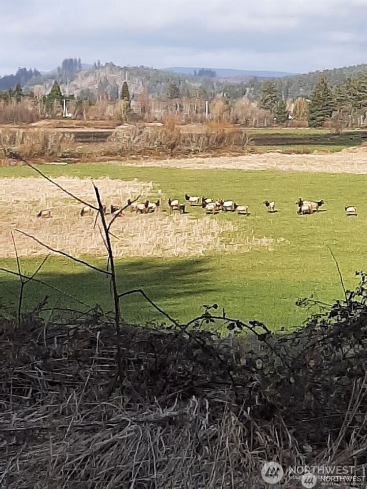 Property Photo:  0  State Hwy 6  WA 98577 