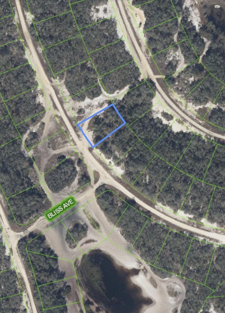 Property Photo: 229 Rhythm Drive FL 33852