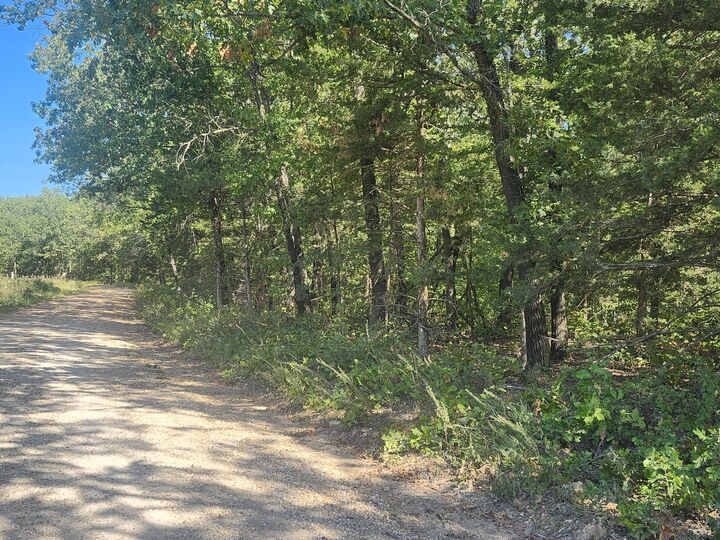 Property Photo:  13239 County Road 290  MO 65650 