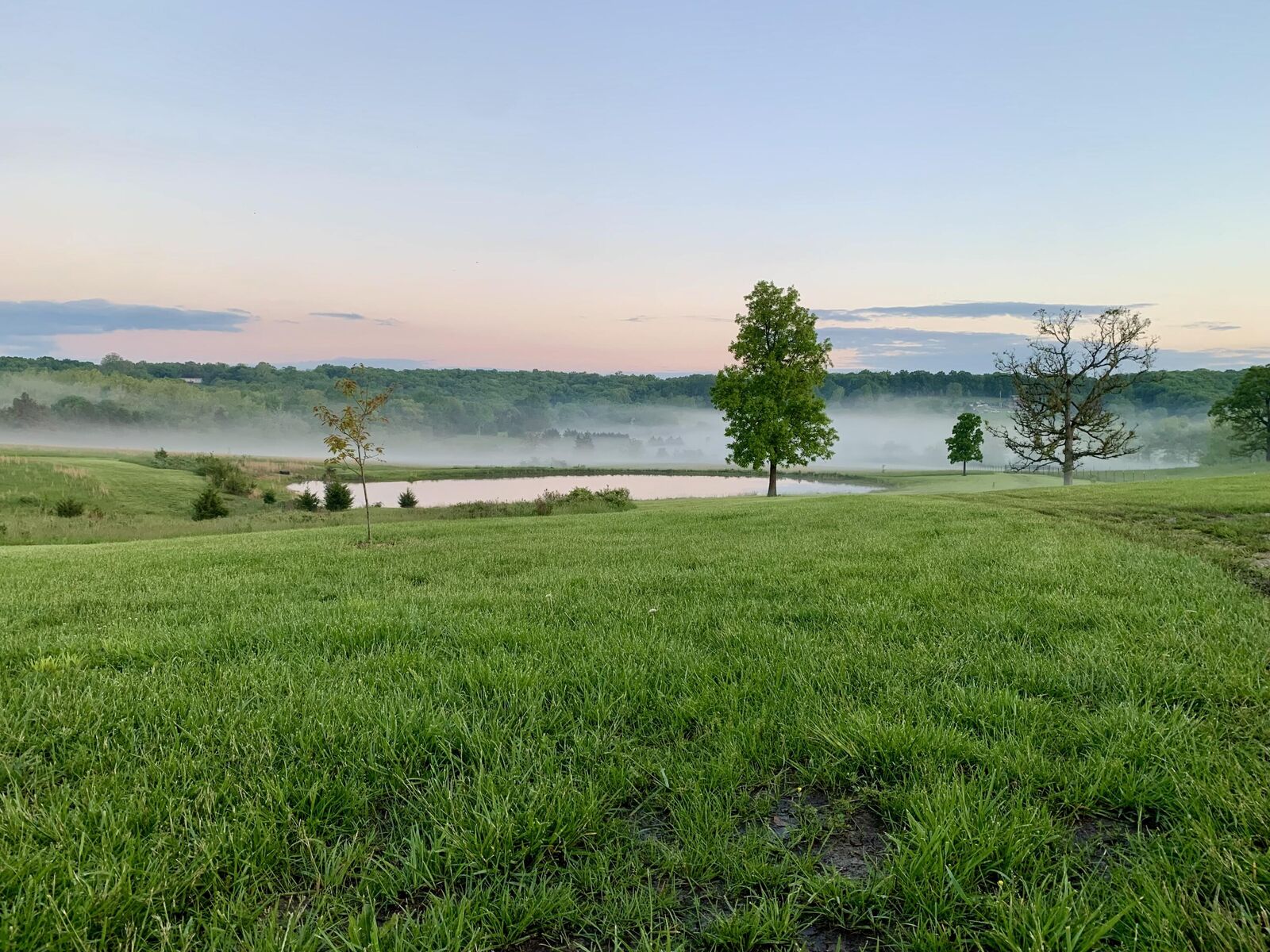 Property Photo:  12 Fineview Lane  MO 65590 