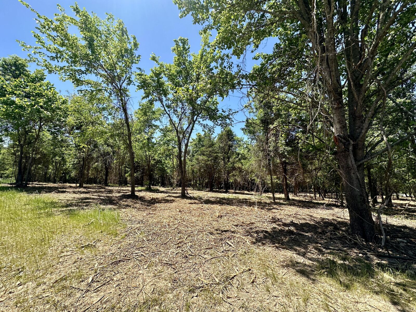 Property Photo: Lot 1 Mack Road MO 65714