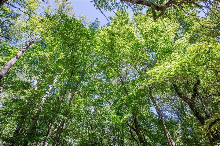 Property Photo: 00 Sutters Ridge Road NC 28649