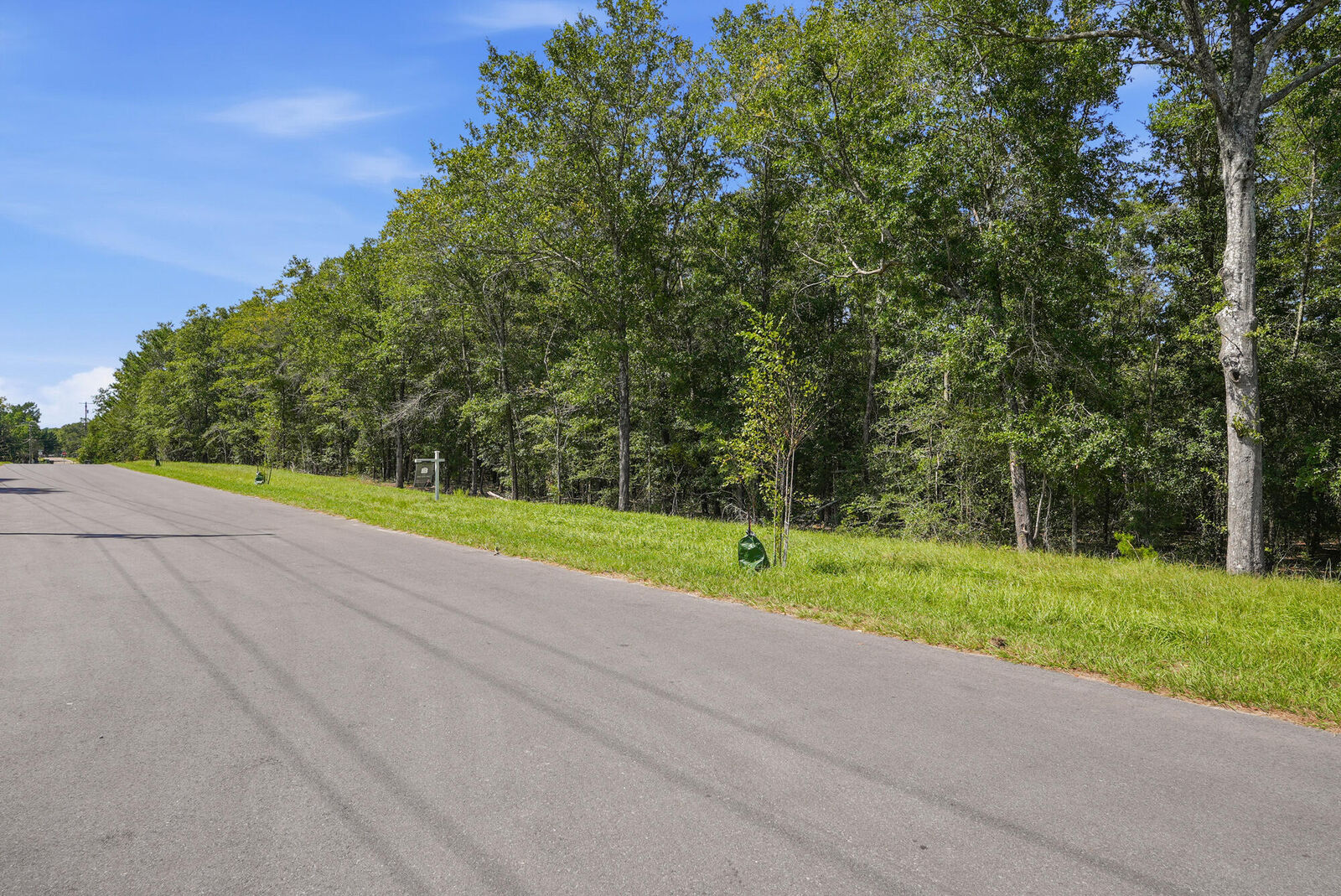 Property Photo:  0 Sidney Avenue  FL 32433 