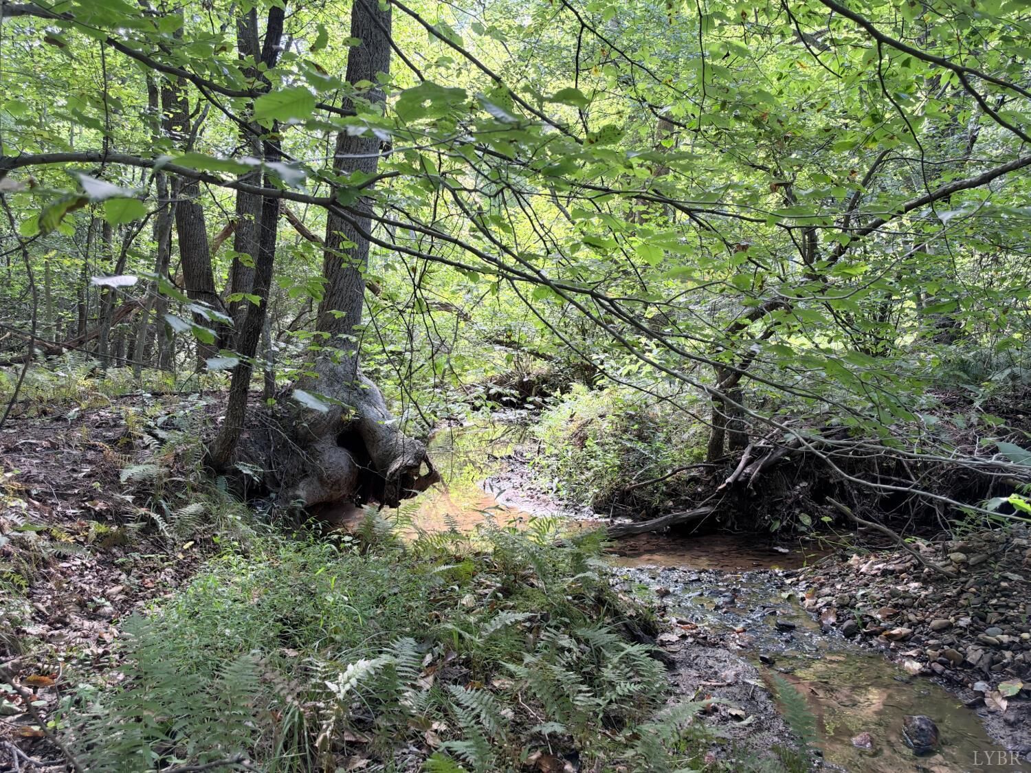 Property Photo:  33 Piney Mountain Lane  VA 22971 