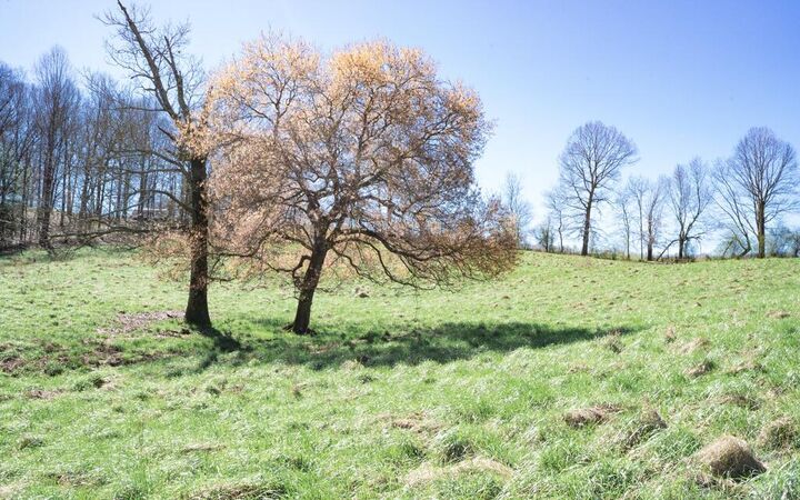 Property Photo: 0 Clear Creek Road GA 30536