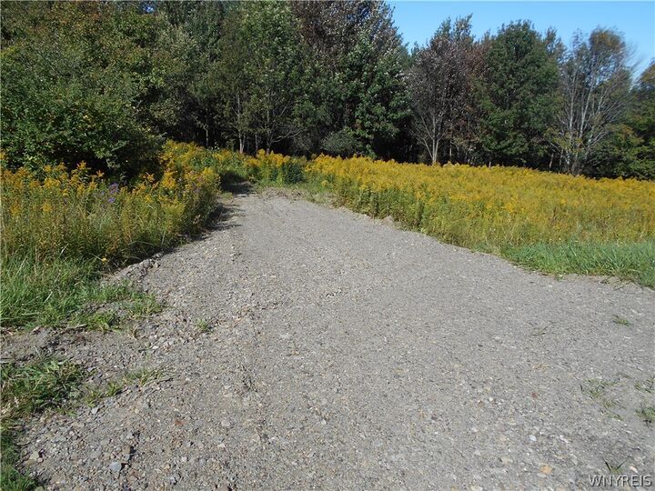 Property Photo: 0 Dutch Hill Rd, Lot #1 NY 14171