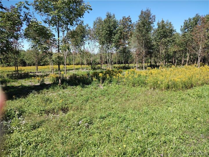 Property Photo: 0 Dutch Hill Rd, Lot #2 NY 14171