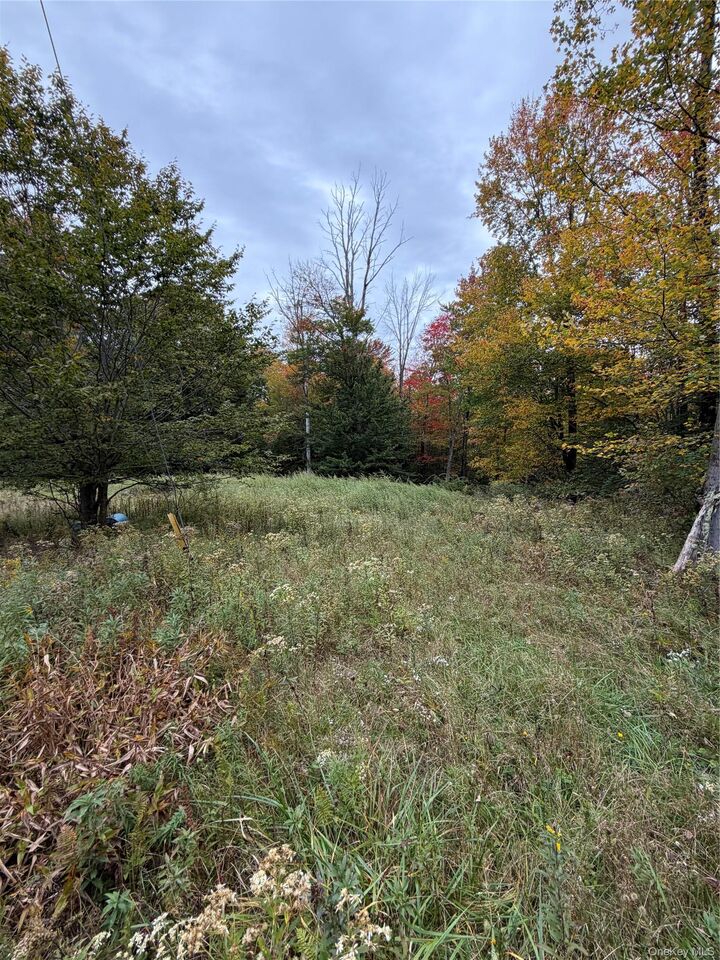 Property Photo:  695 Budd Road  NY 12788 