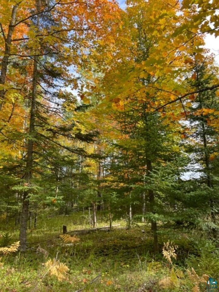 Property Photo: Xxxx Sunny Ln MN 55811