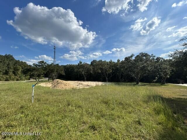 Property Photo:  25049 Magnolia Boulevard  MS 39571 