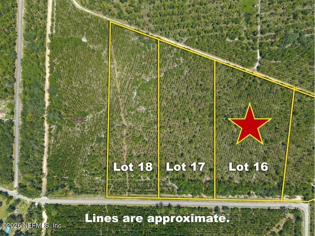 Property Photo: Lot 16 E Hillsborough Avenue FL 32140