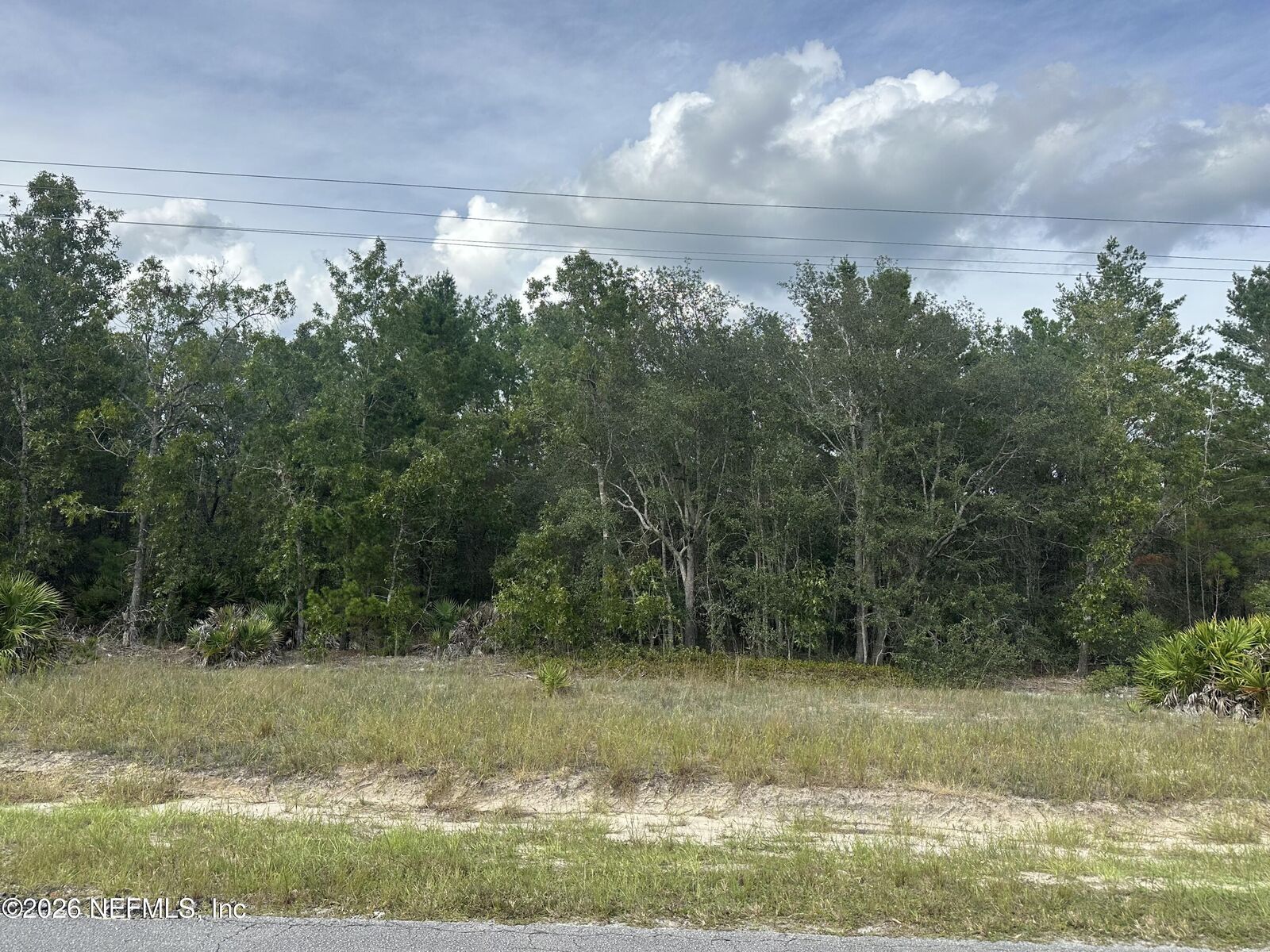 Property Photo: Lot 18 E Hillsborough Avenue FL 32140