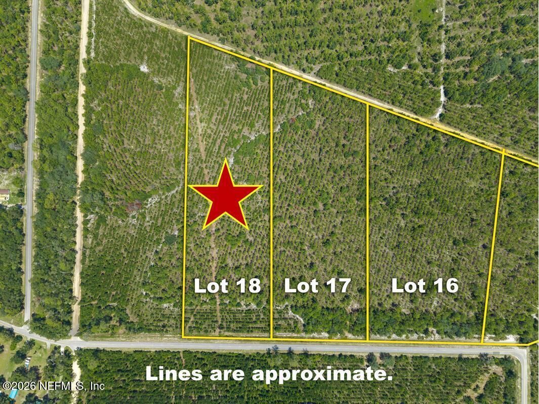 Property Photo:  Lot 18 E Hillsborough Avenue  FL 32140 