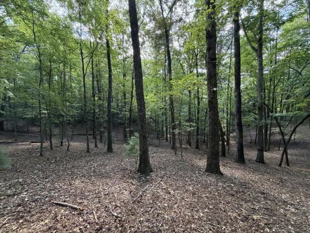 Property Photo:  Lot 556 Satsuma Court  GA 30540 