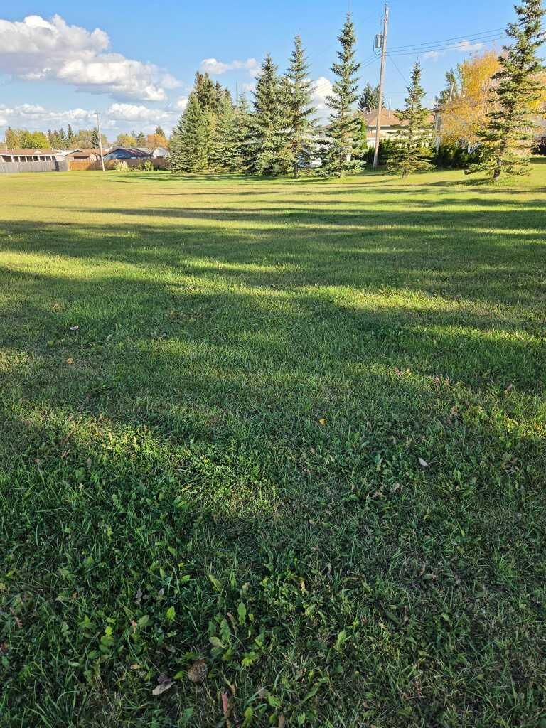 Property Photo:  5 Sifton Crescent  AB T0B 2V0 