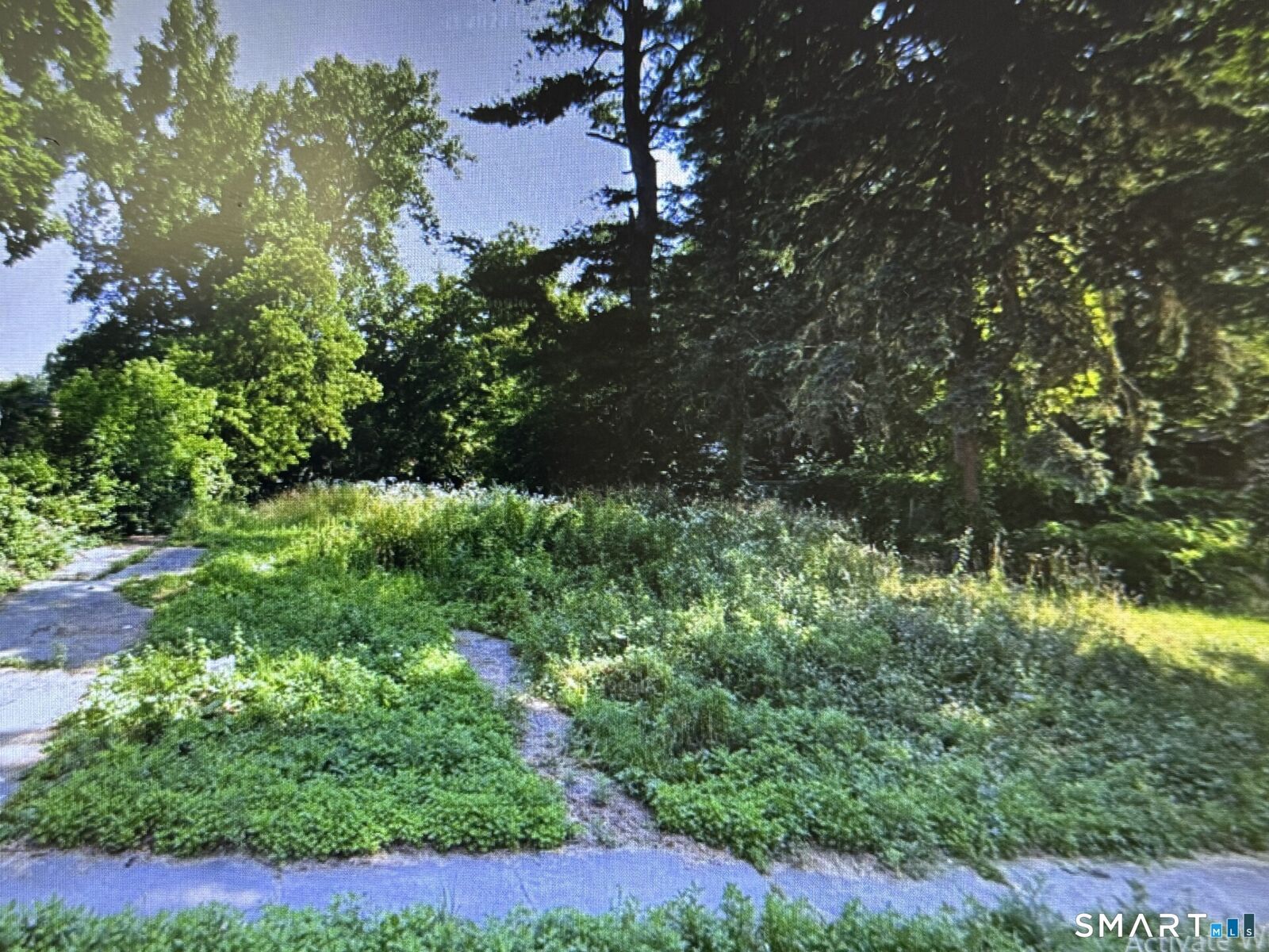 Property Photo: 42 Winchester Street CT 06112