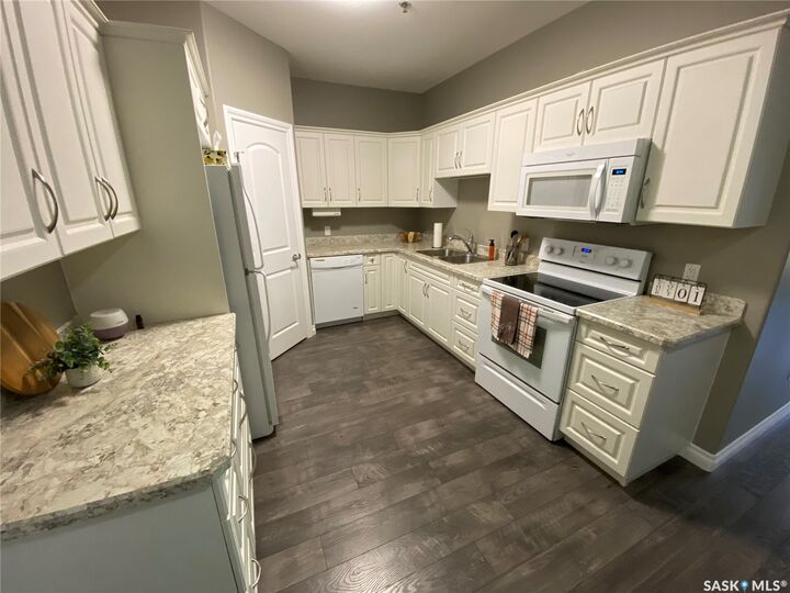 Property Photo:  123 Balmoral Street 305  SK S3N 4J2 