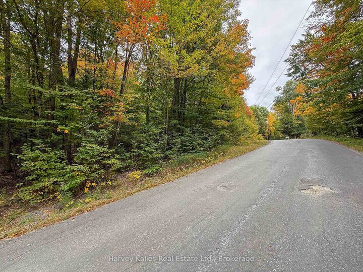 Property Photo:  481 Gryffin Lodge Road  ON P0B 1M0 