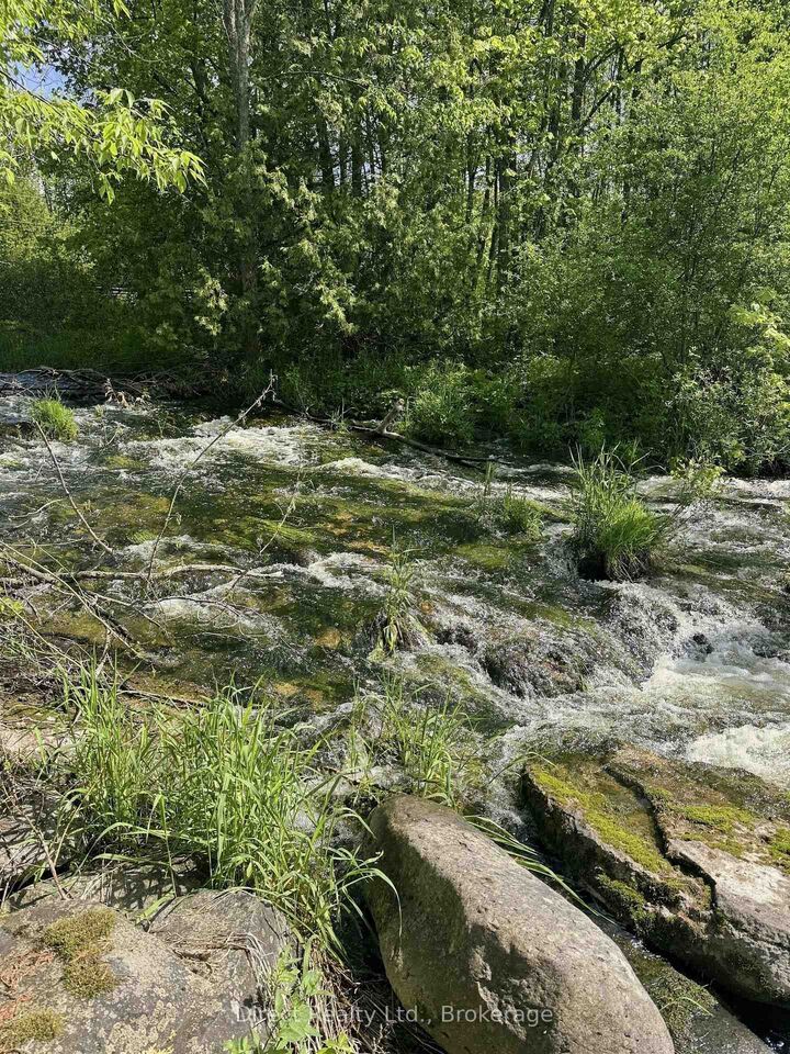 Photo de la propriété:  371 A Wellmans Road  ON K0K 3E0 