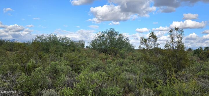 Property Photo:  Lot 15 S Sb Ranch Road 15  AZ 85635 