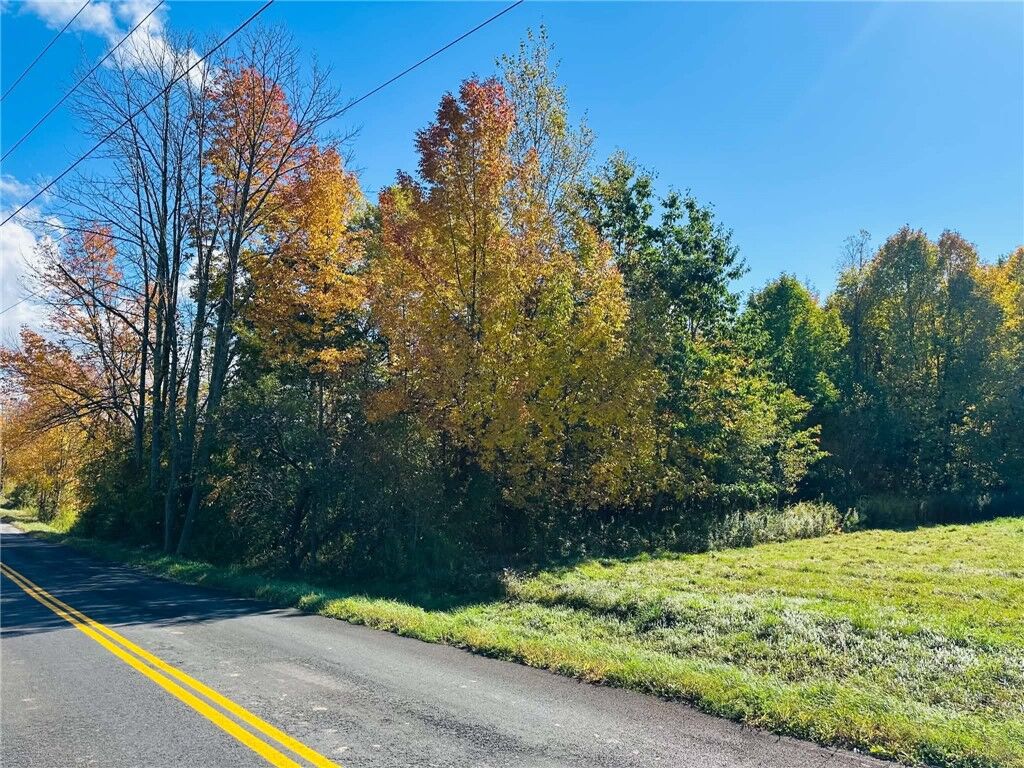 Property Photo:  County Highway 3A  NY 13849 