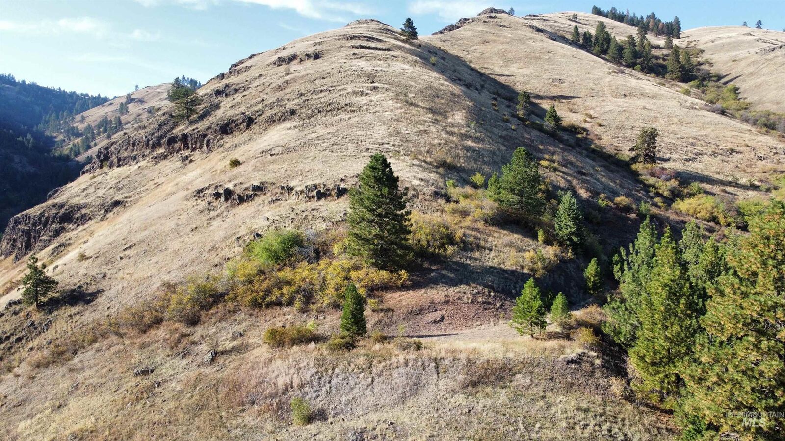 Property Photo:  Tbd Big Canyon Road  ID 83554 