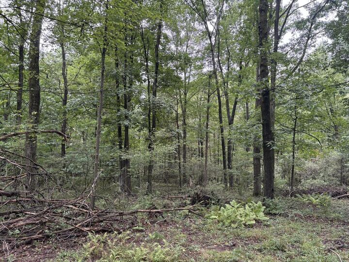 Property Photo:  Rt 403 Hwy N  PA 15714 