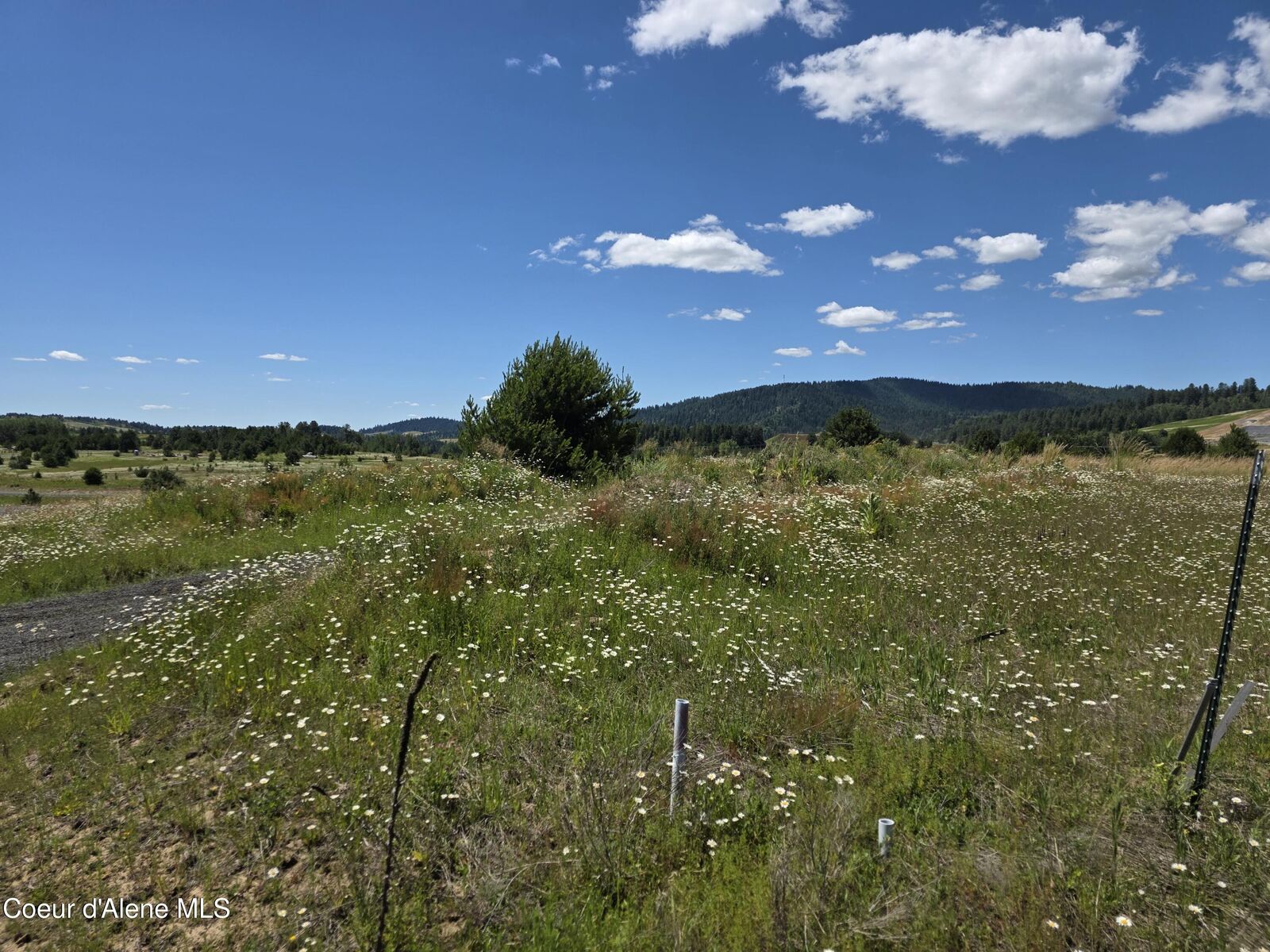 Property Photo:  13 S Bolen St  ID 83815 