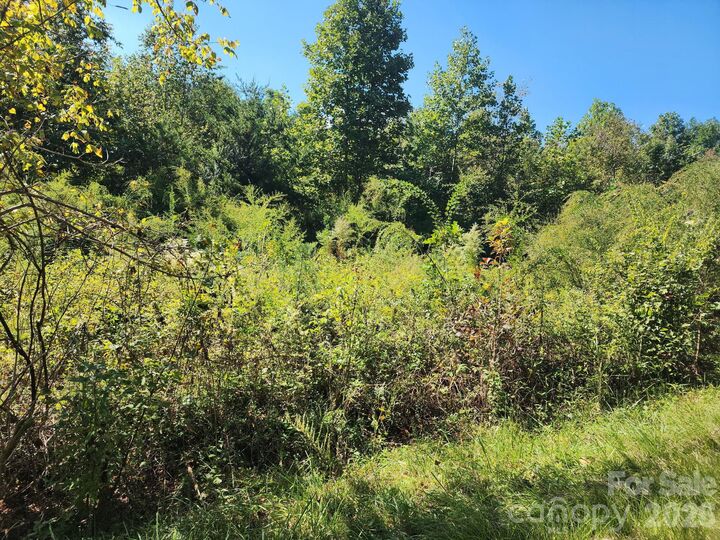Property Photo:  0 Freemantown Road  NC 28746 