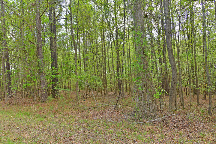 Property Photo:  0 Ridgelake(Lot 35) Circle  SC 29135 