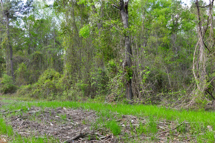 Property Photo:  0 Ridgelake(Lot 8  SC 29135 